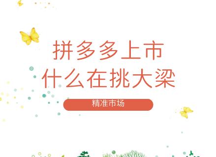 堪稱電商傳奇的拼多多，快速崛起給儀器儀表企業(yè)的啟示